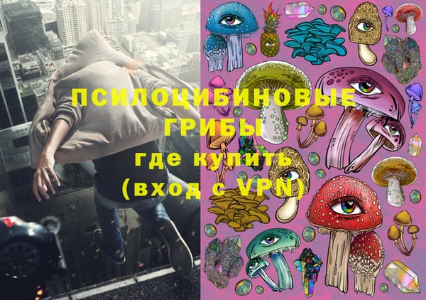 МДПВ Абаза