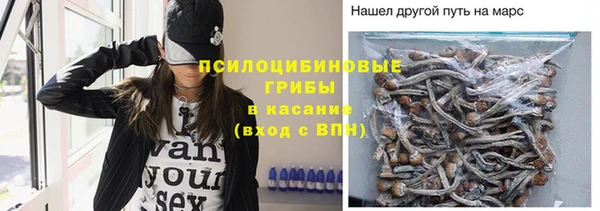 МДПВ Абаза